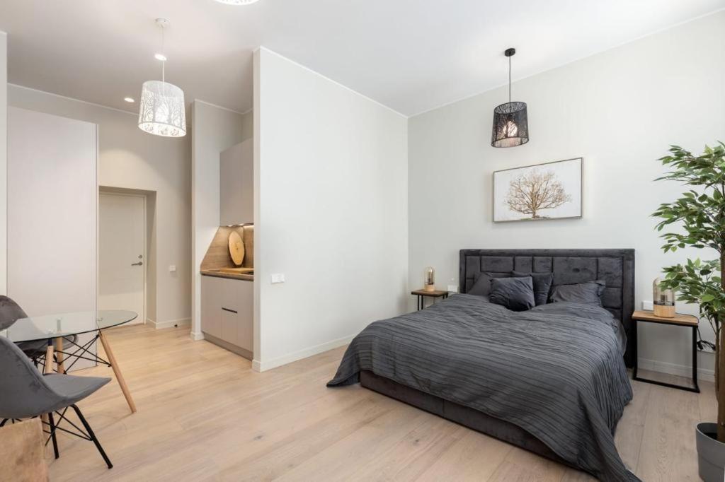 Kalnina Street Studio Apartment Riga Esterno foto